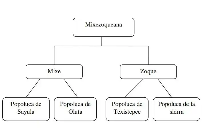 Organigrama popoluca