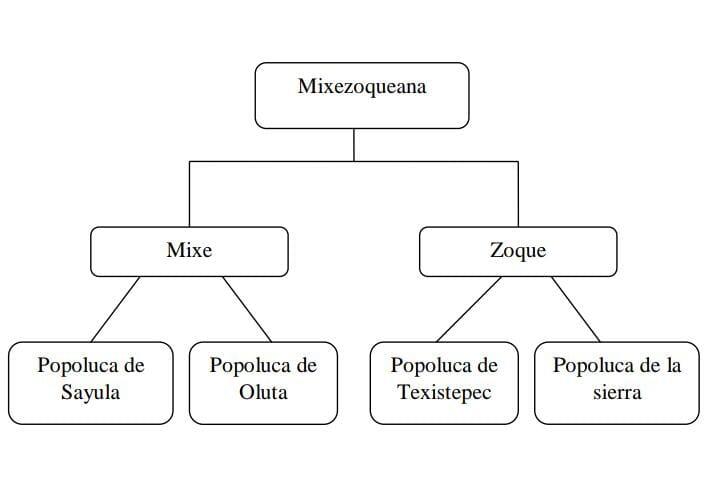 Organigrama Organigrama